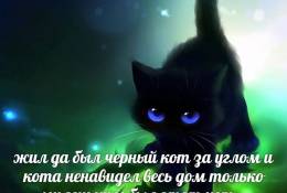 «День черного кота»